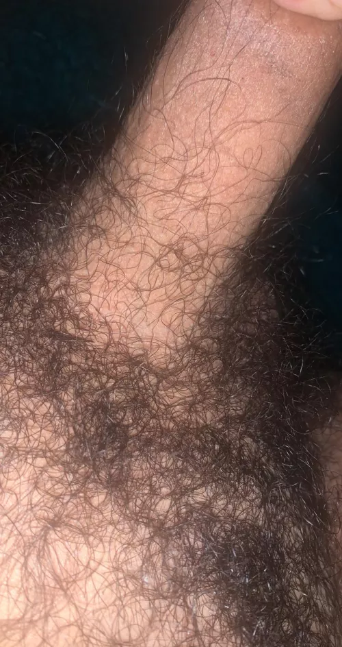 Some college bush