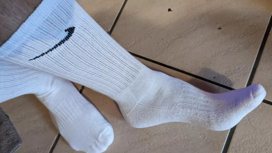 some new socks 🧦
