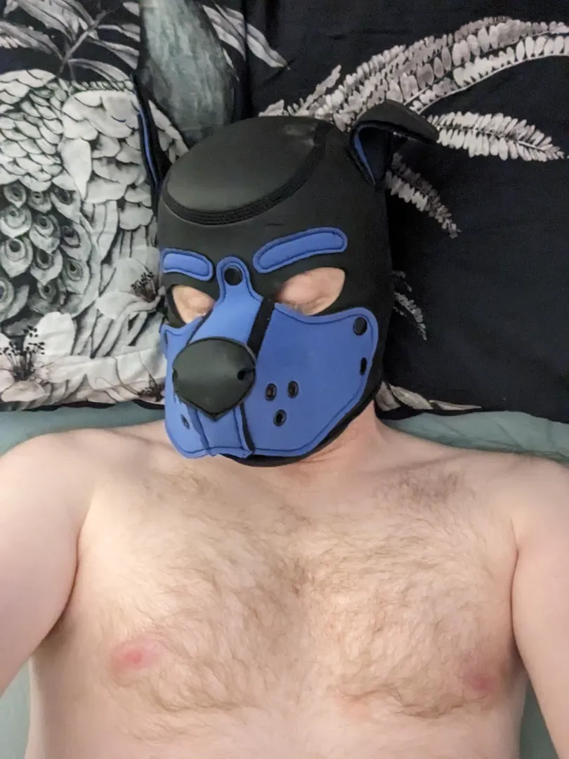 Someone is a sleepy pup