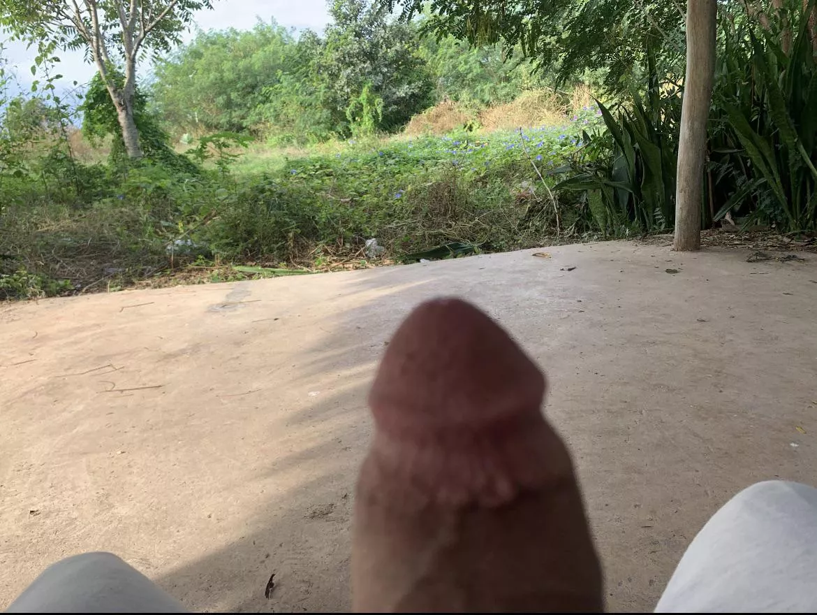 Someone to suck it?