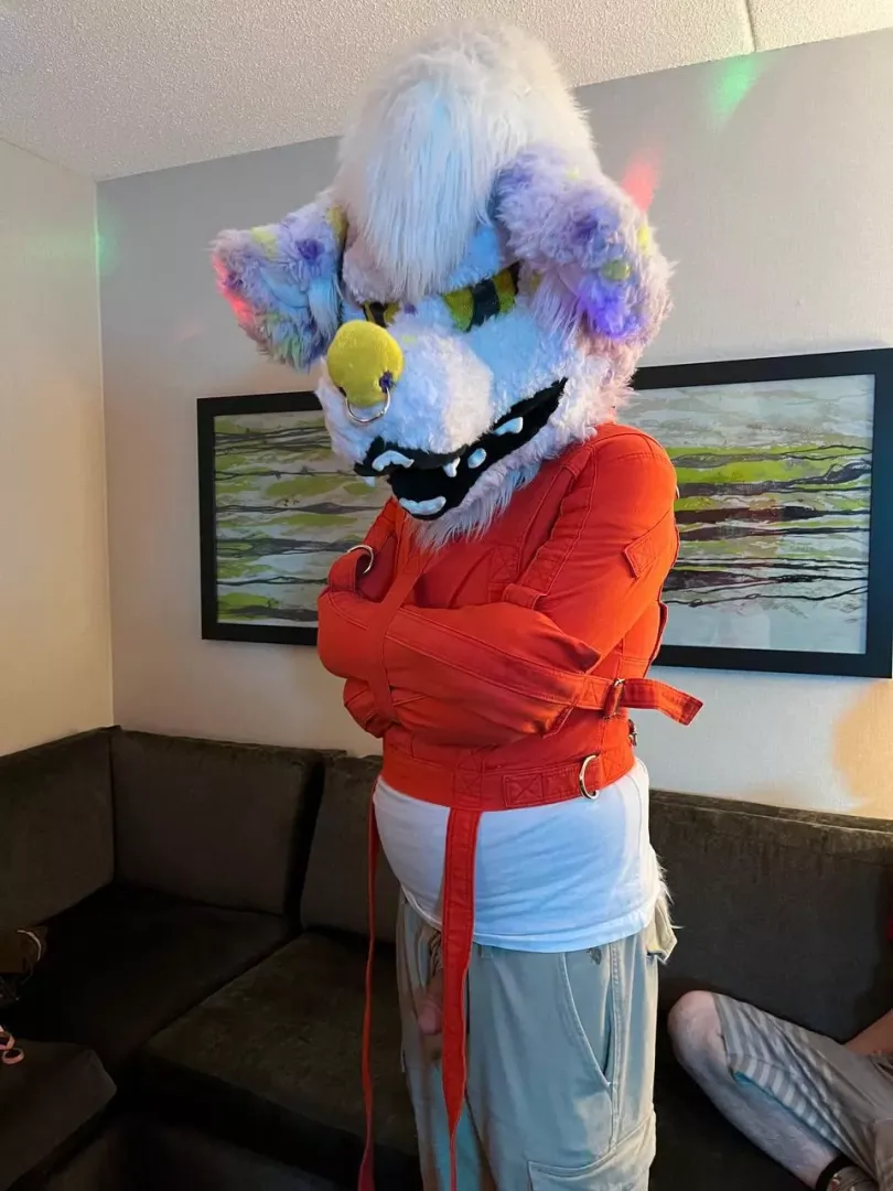 Someone unzipped my fly while I was in a straight jacket 0///0