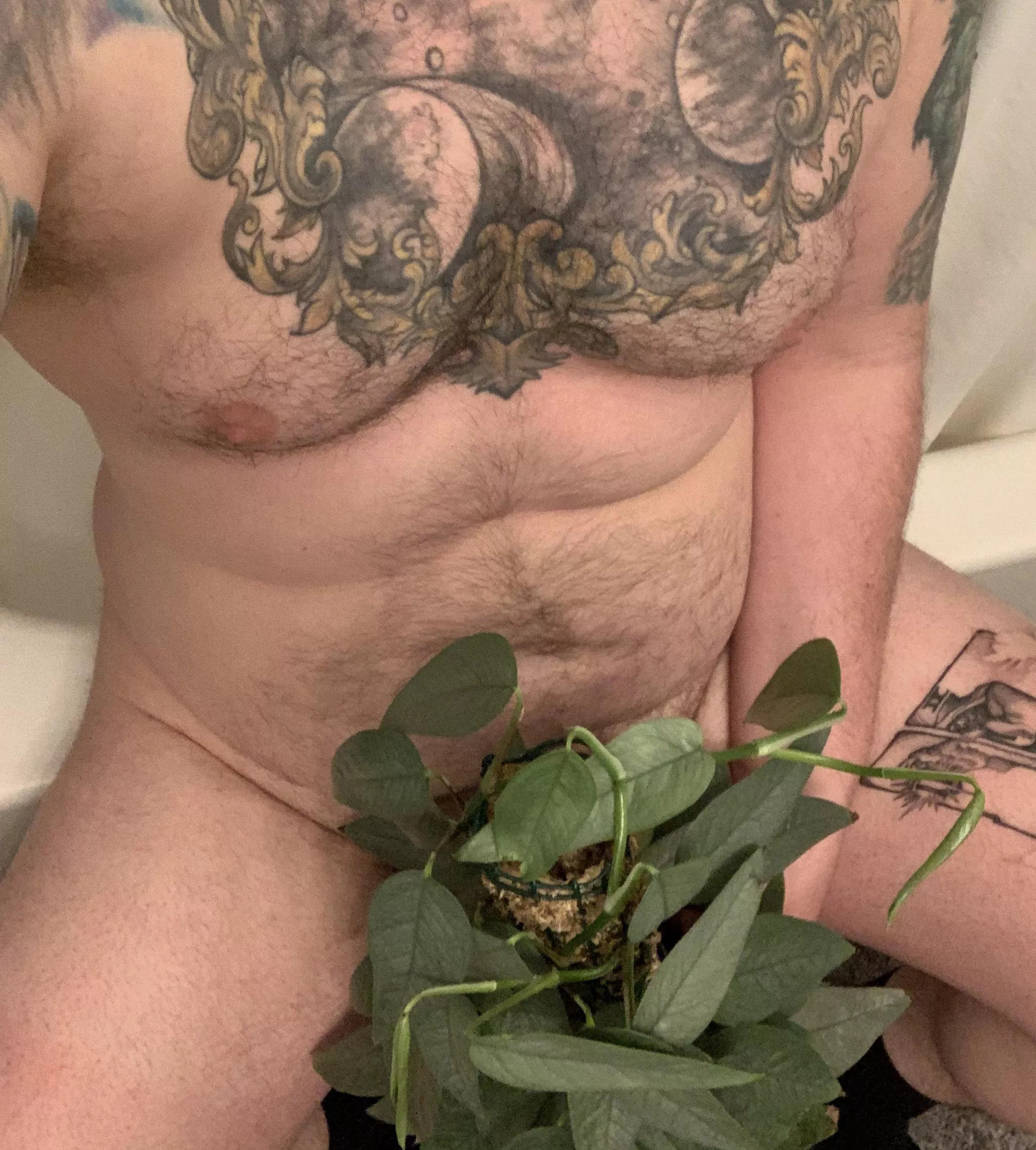 Something something moss pole. [31] (DM’s open!)