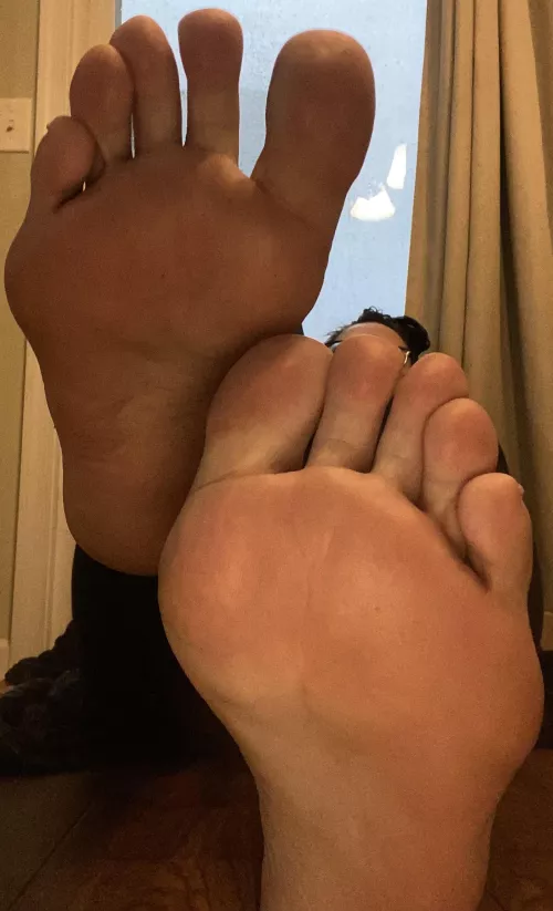 Something to brighten up this rainy day