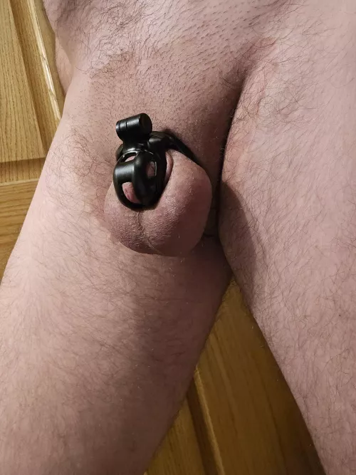 Sometimes I wonder if I could squeeze into a smaller cage