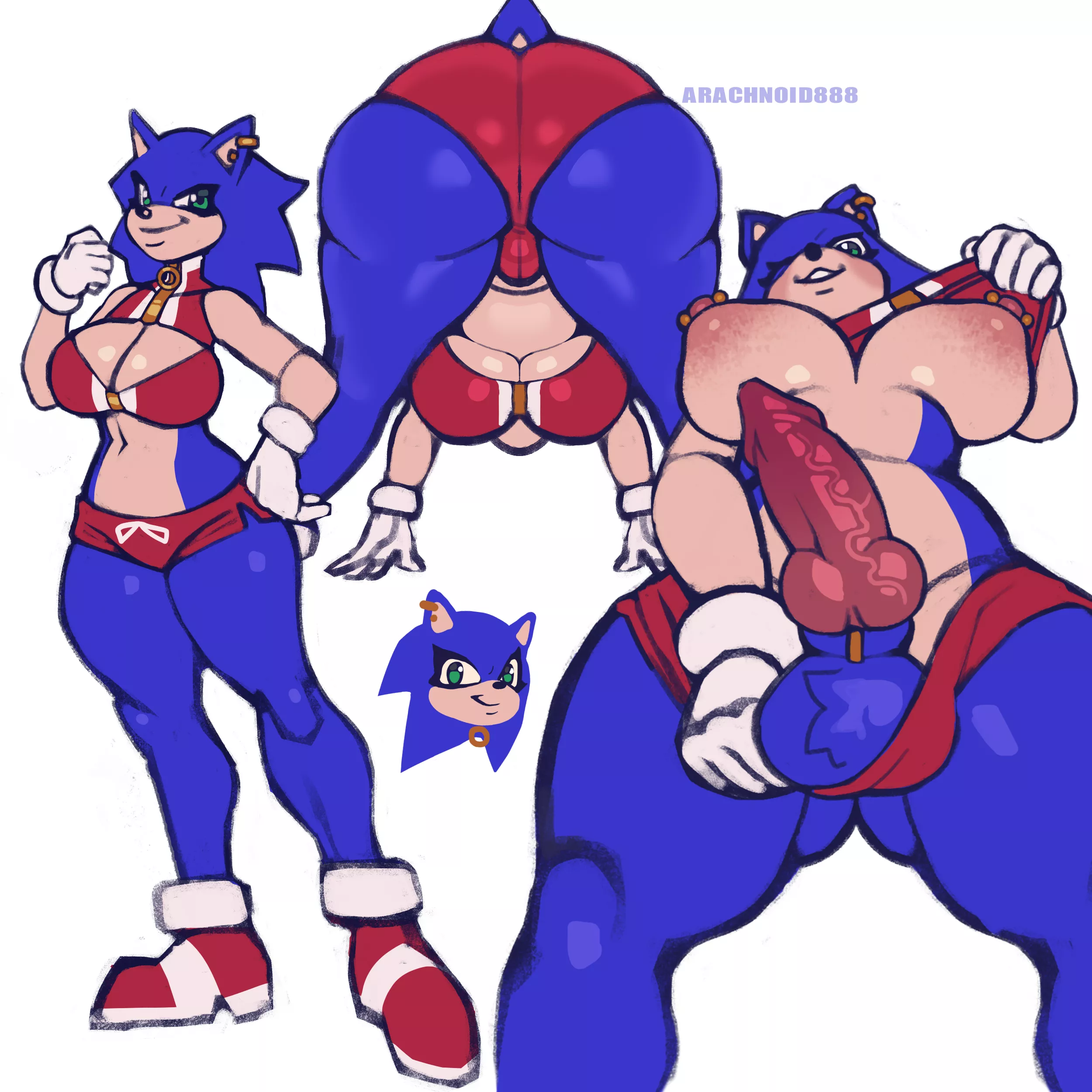 Sonic (Artist:Arachnoid888)