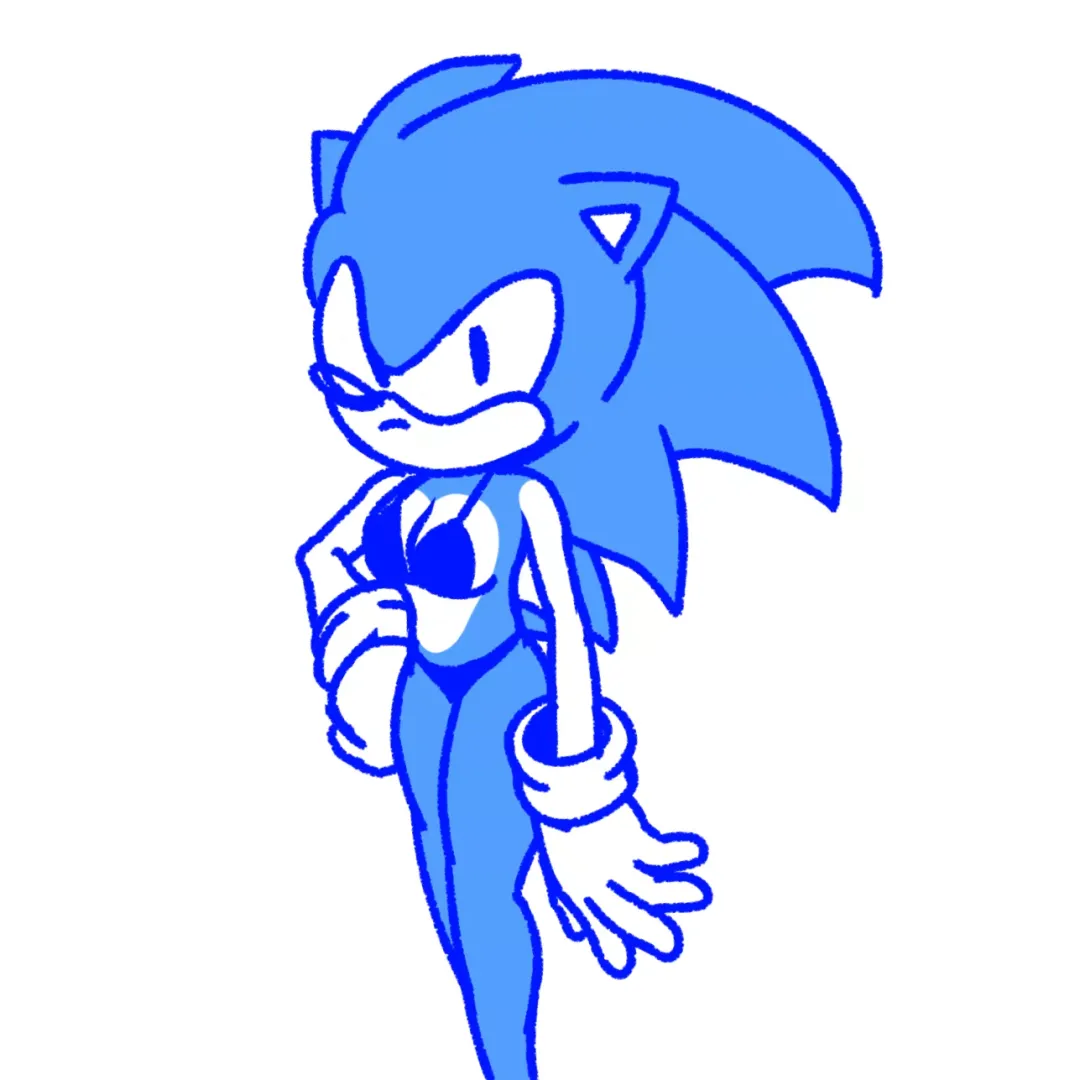 Sonic The Bitchhog