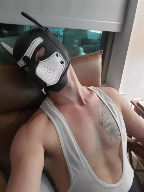 Sparky is a very tuckered pup after his ride