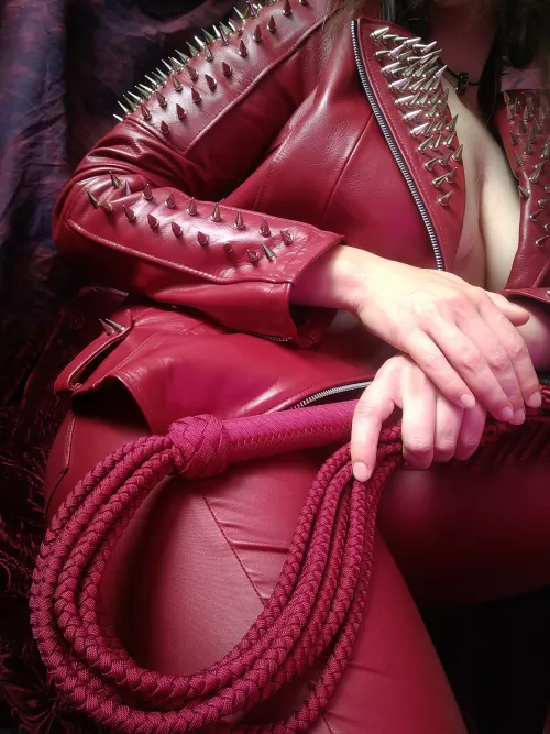 Spikes and whip, obey or run