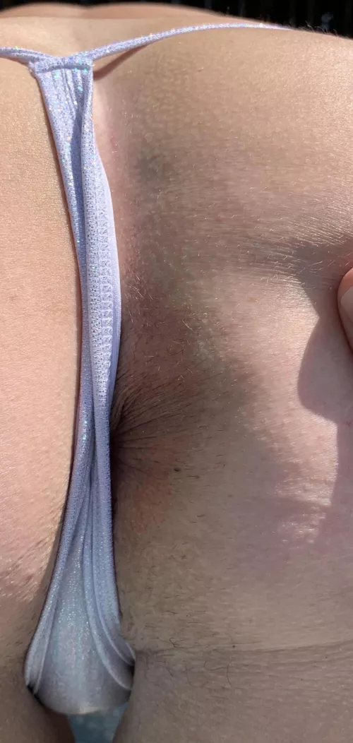 Split it Like A Sandwich