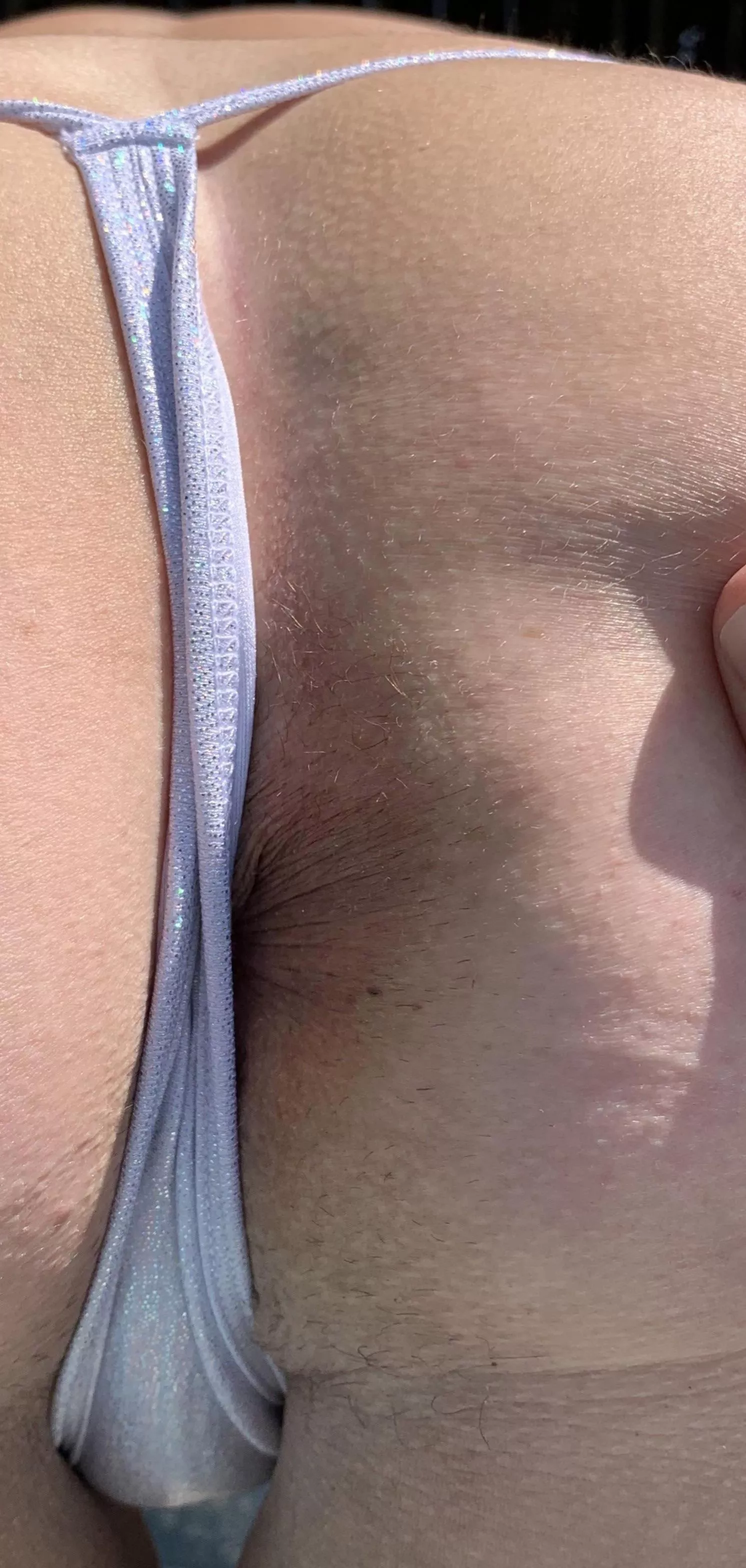 Split it Like A Sandwich