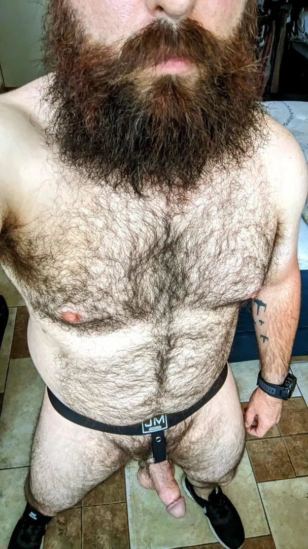 Sports daddy