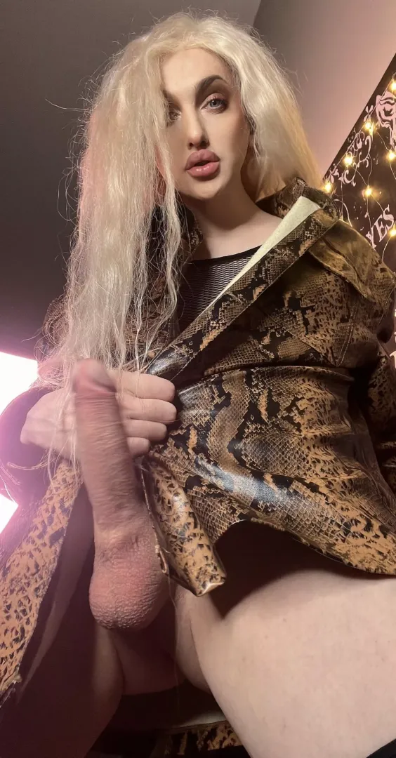 Spread your ass for me