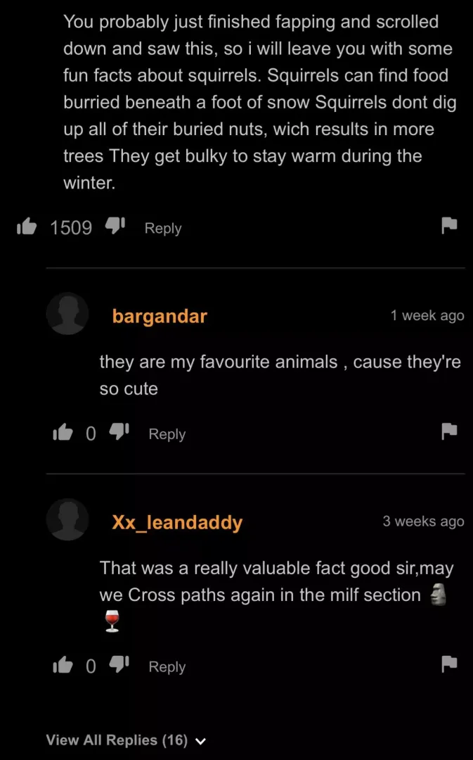 Squirrels