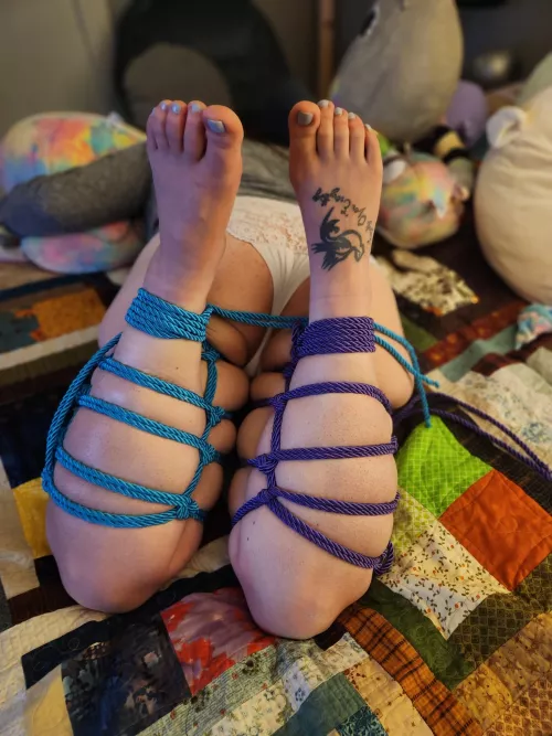 Squishy futos= happy middle