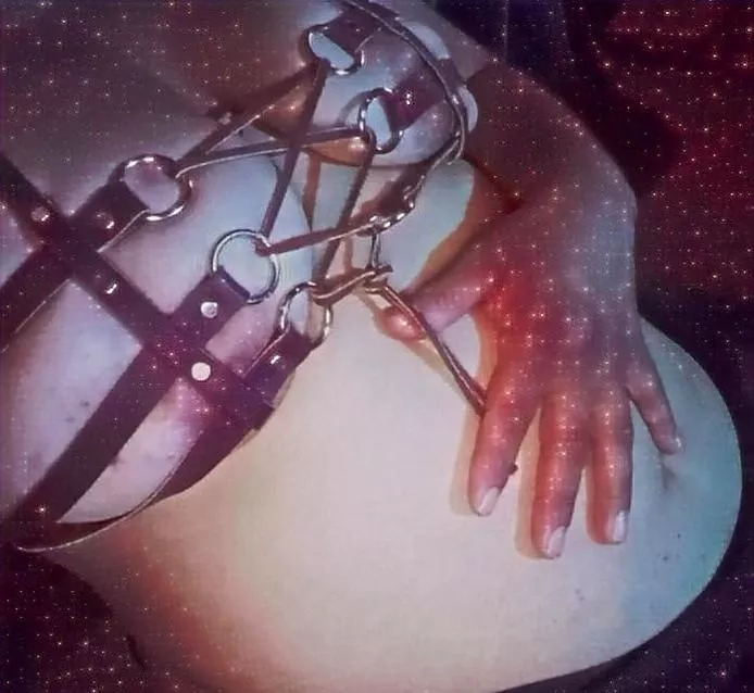 Stardust