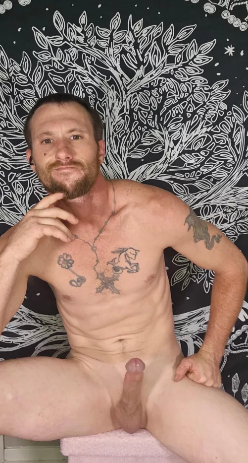 Start sucking me, then I'll have my way with you