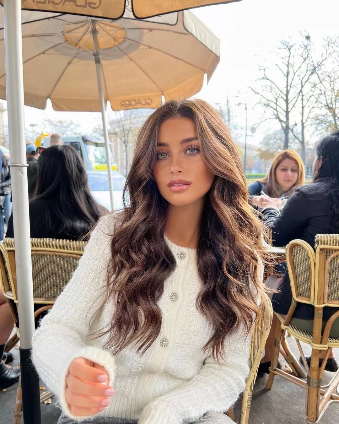 Stella D