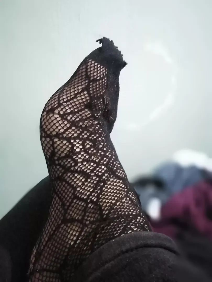 stick your face on my web