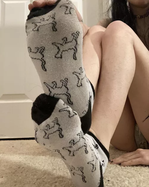 Stinky kitty 🐱👅[Selling] these little pussy cat socks as well as newly added socks/bras/panties!
