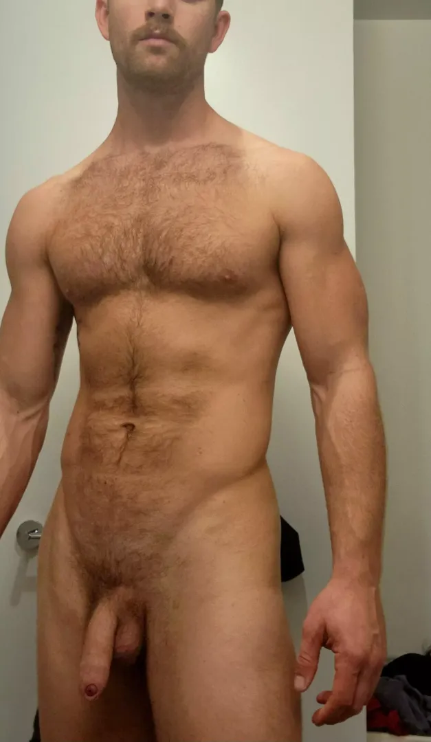 Stomach or chest hair?