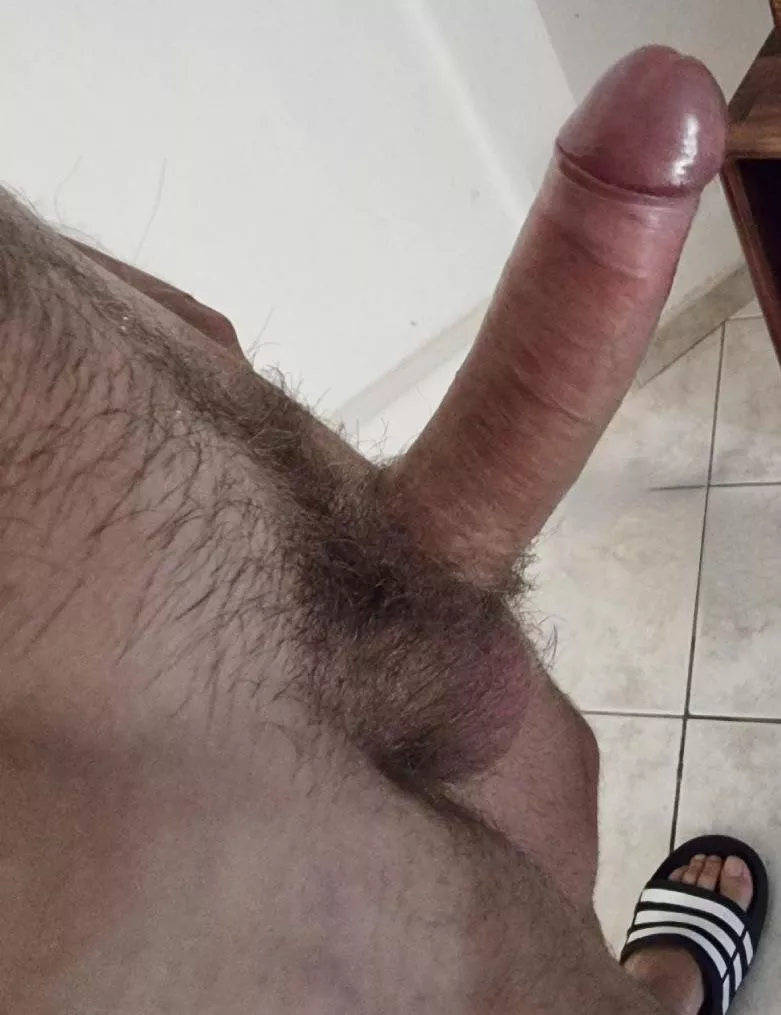 Stood to attention, awaiting your inspection SIR