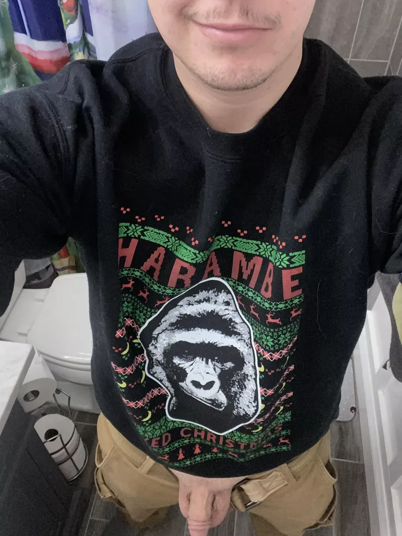 Stuck at the in-laws… getting it out because Harambe loved Christmas! (28)