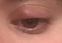 Stye journey I suppose