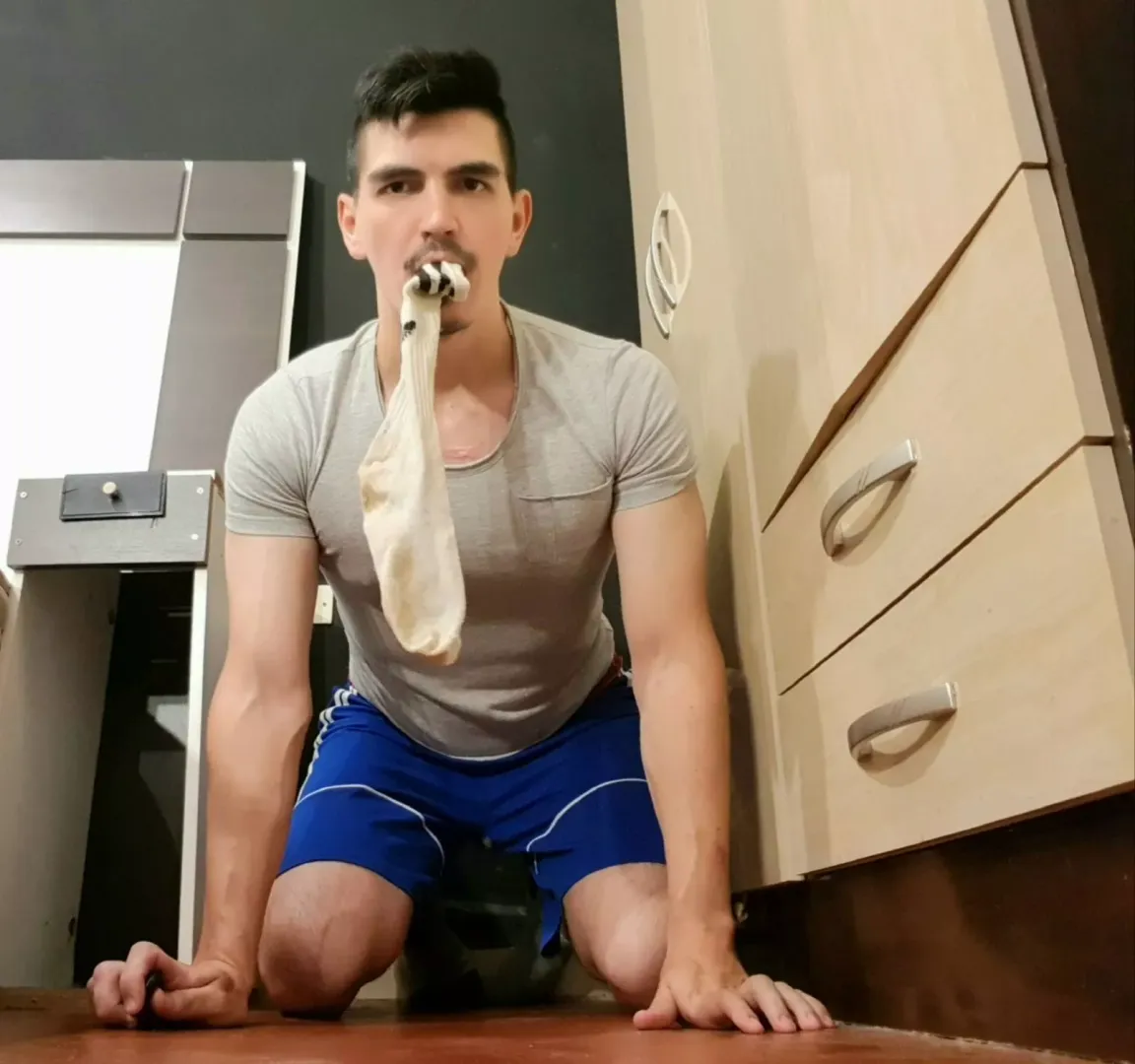 Sub dog