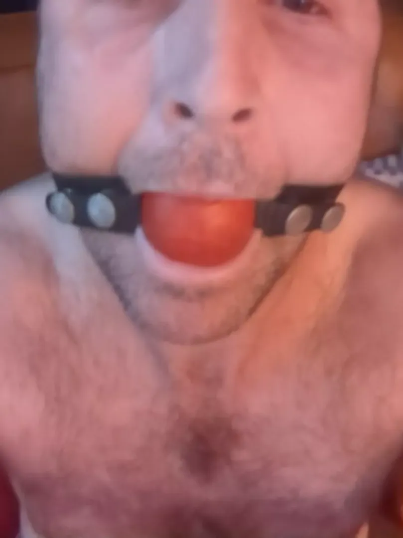 Sub whore pig