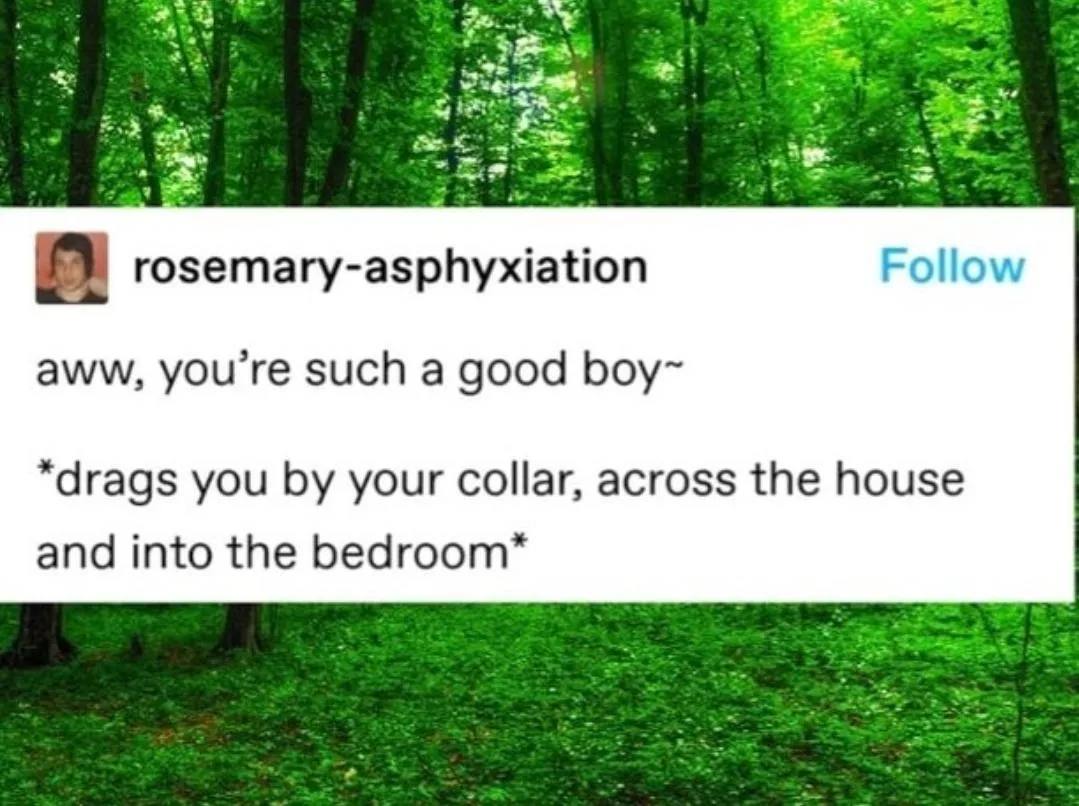 Such a good boy ❤️