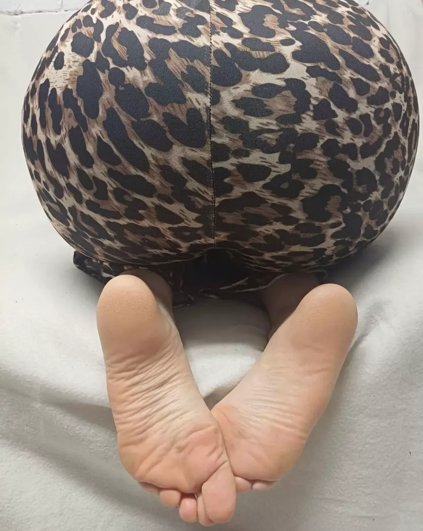 Suck each smelly toe, foot boy 🤤🧀 
