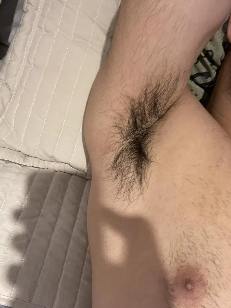 Suck me tonight