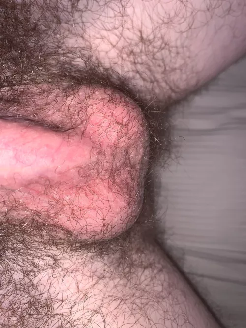 suck my hairy balls 🤤 dms open