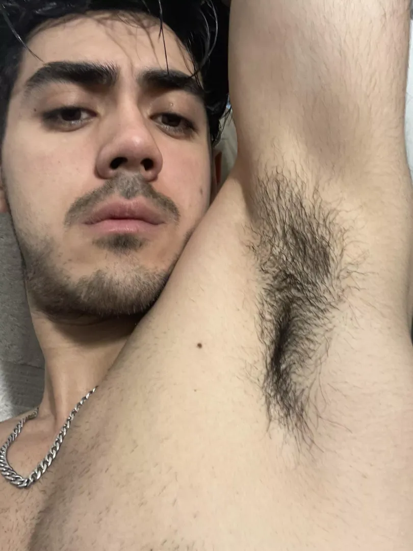 Suck my pits!