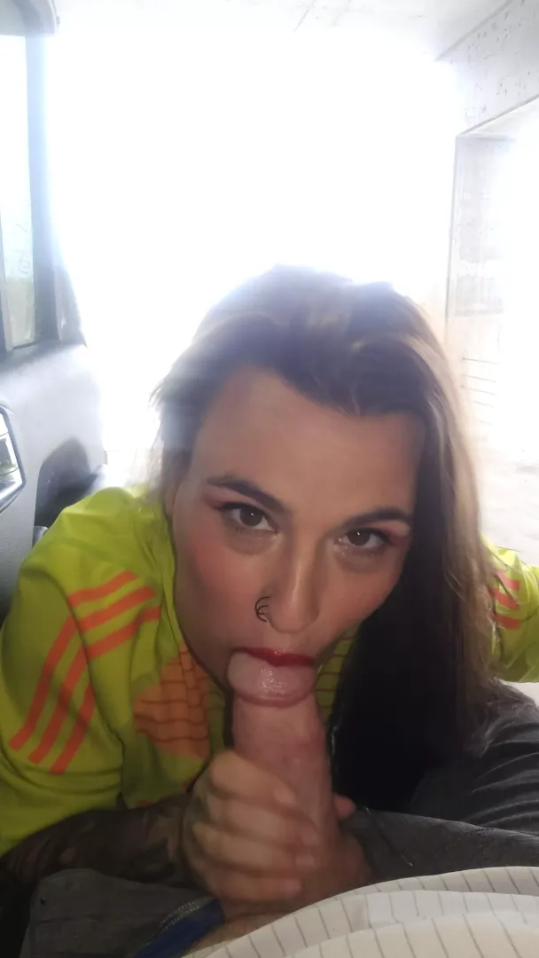 Sucking dick to celebrate thr 4th of July!
