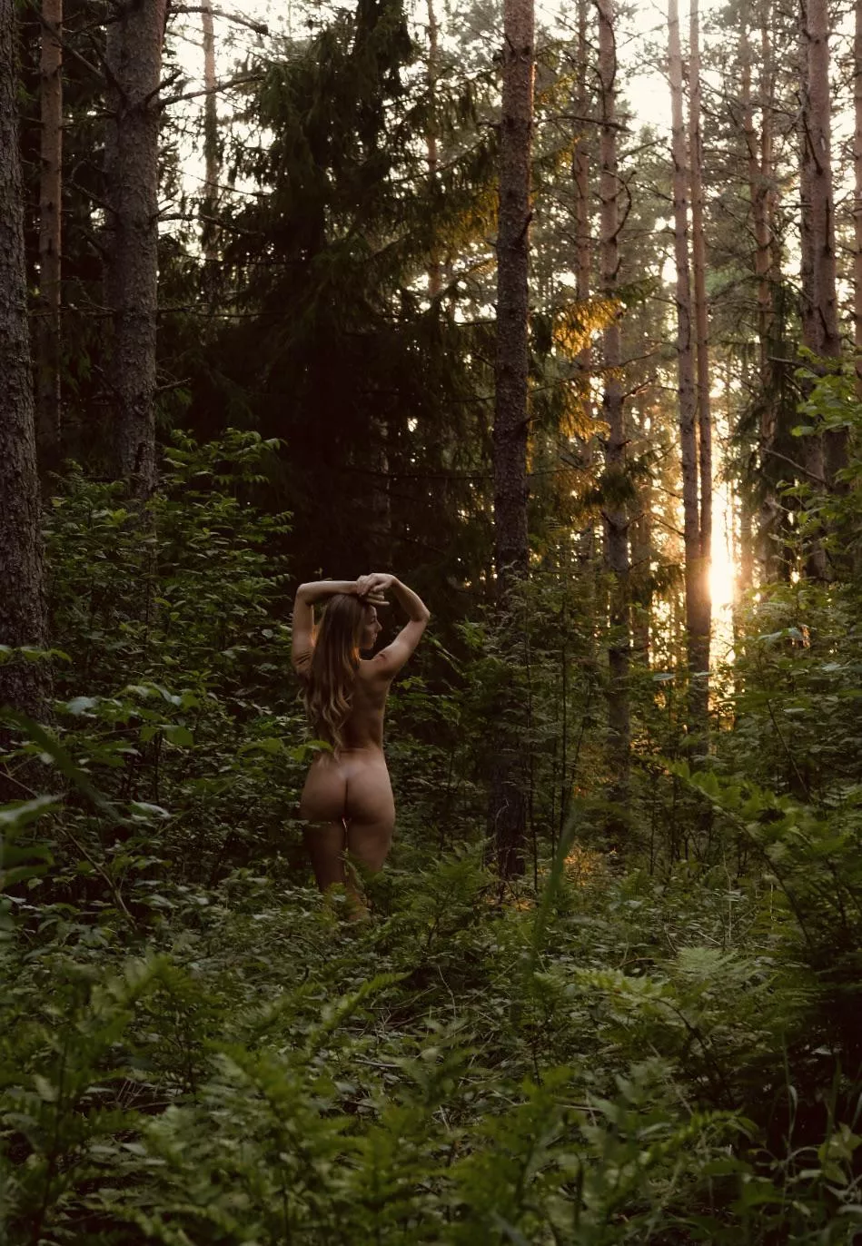 Sun follower