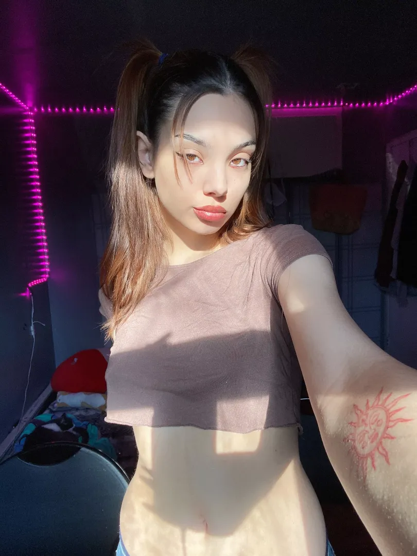 Sun in the Sun