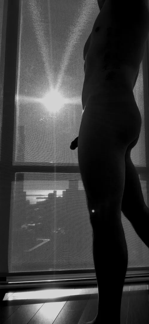 sunbeams