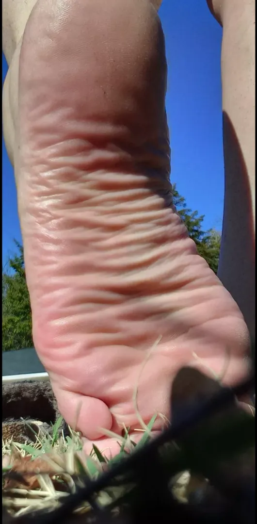 Sun-kissed