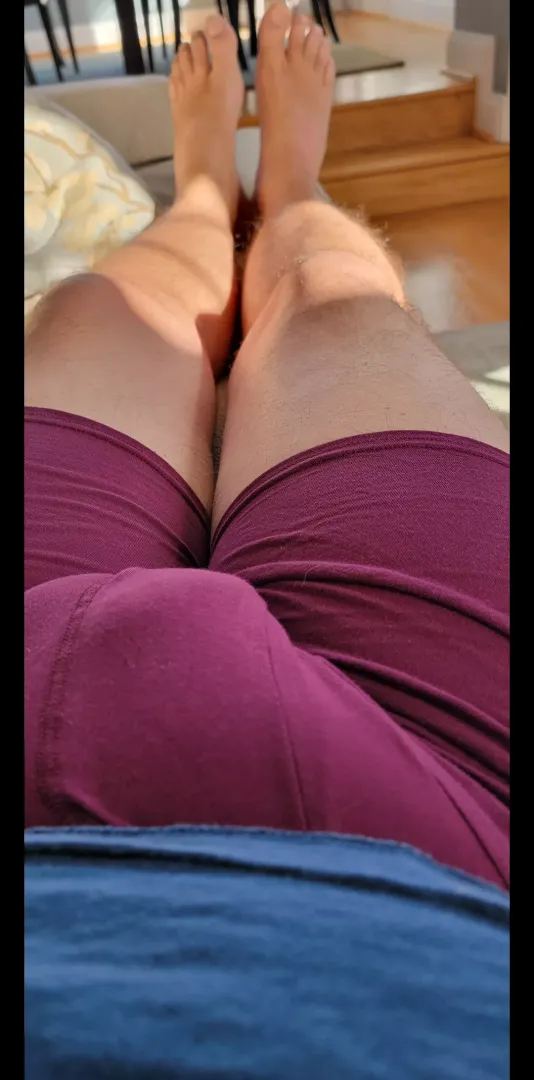 Sunny day in the sofa