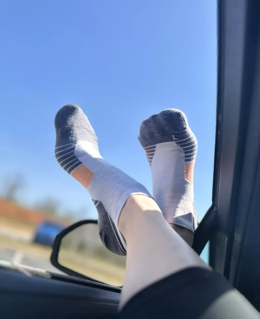 Sunny day…oc