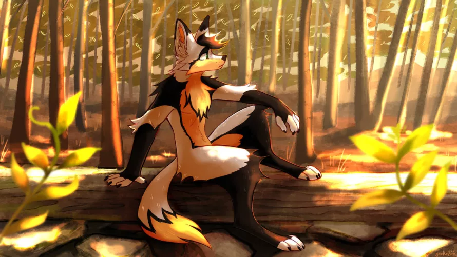 Sunset Forest [geckoZen]