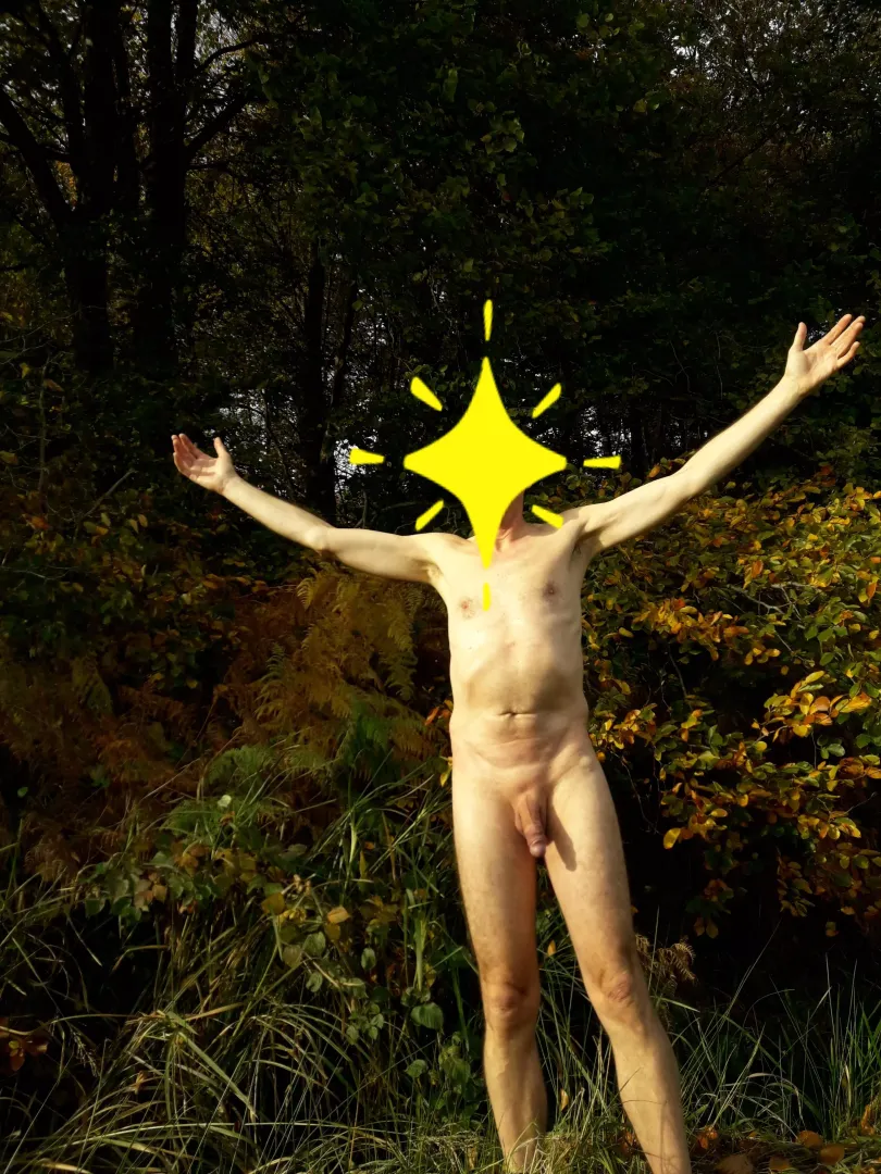 sunshine