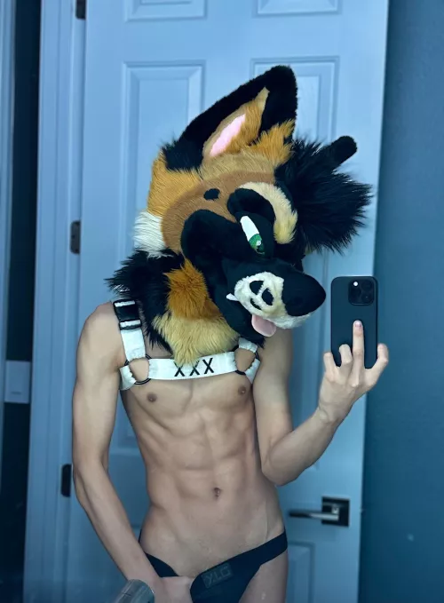 Sup😏