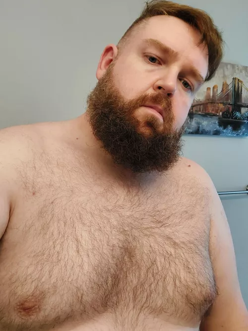Sup 🐻 friends