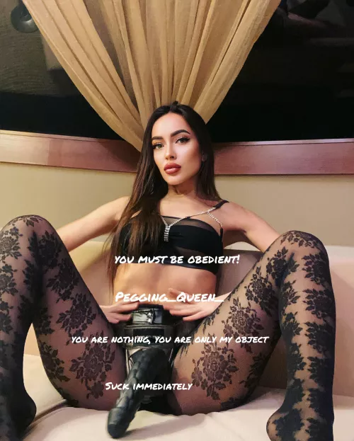Superlative Queen with her favourite strap on