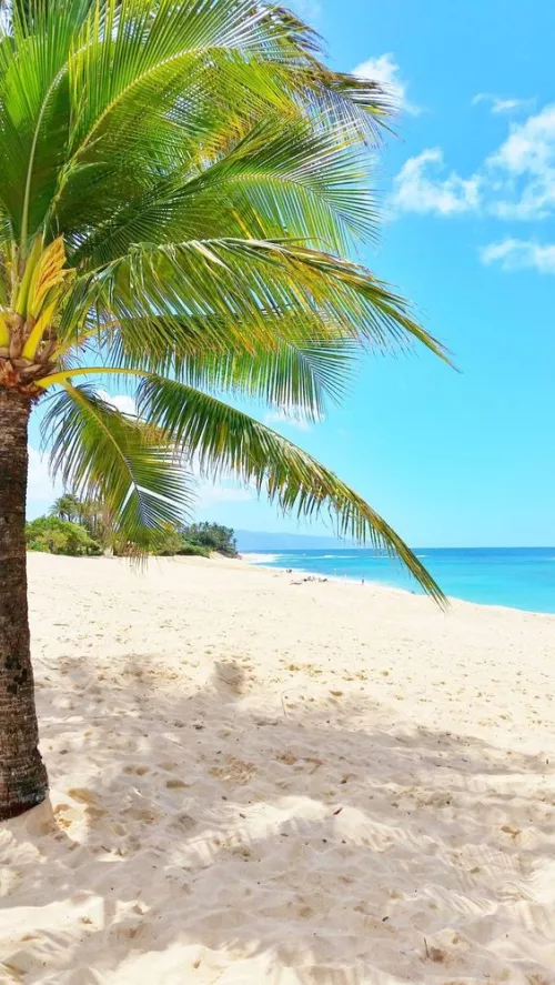 Surf camp in Hawaii on the North Shore of Oahu