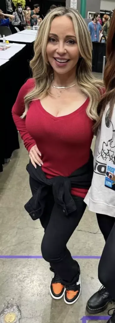 Sweater stretchers 