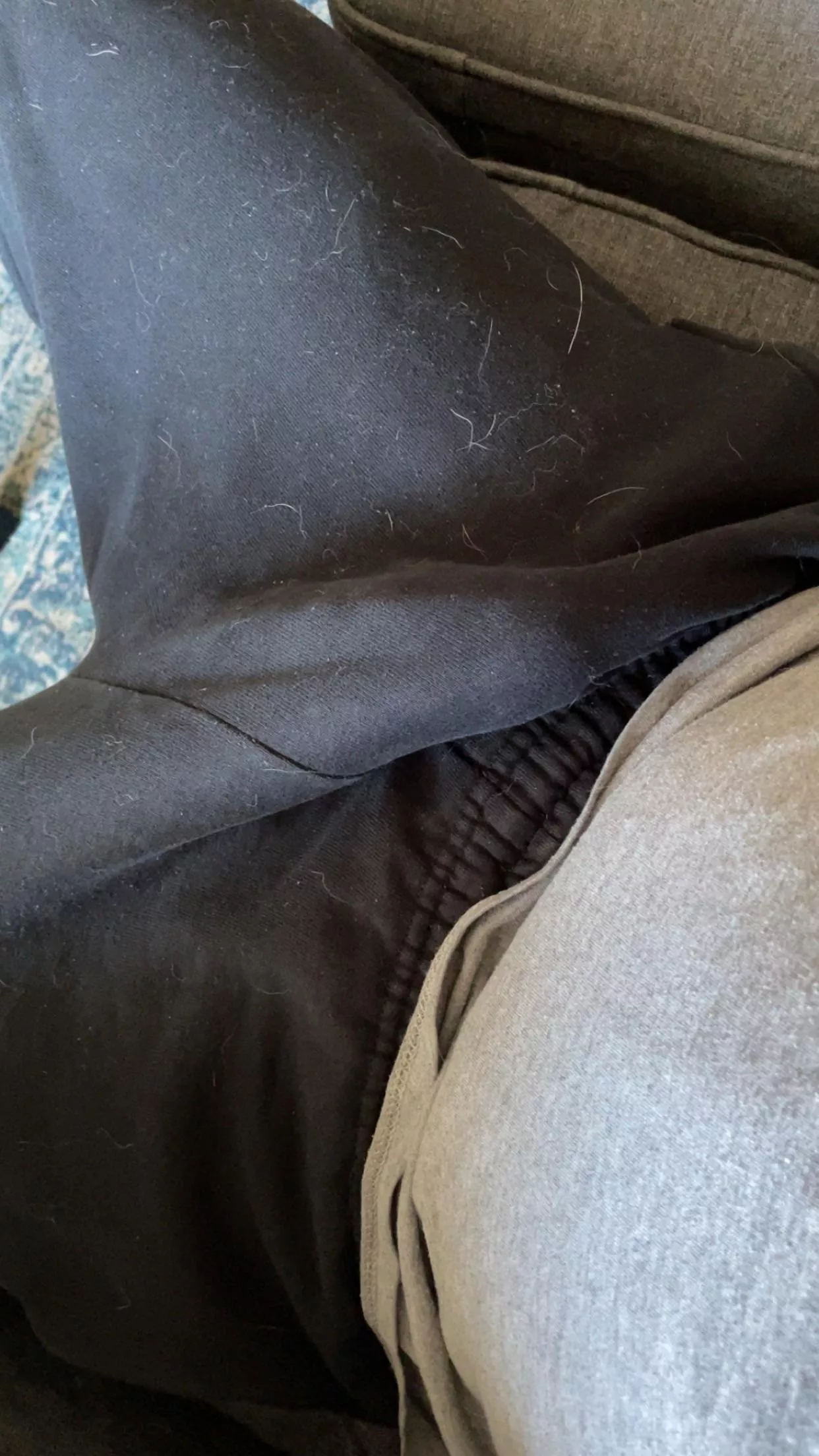 Sweatpants are the reason for the season