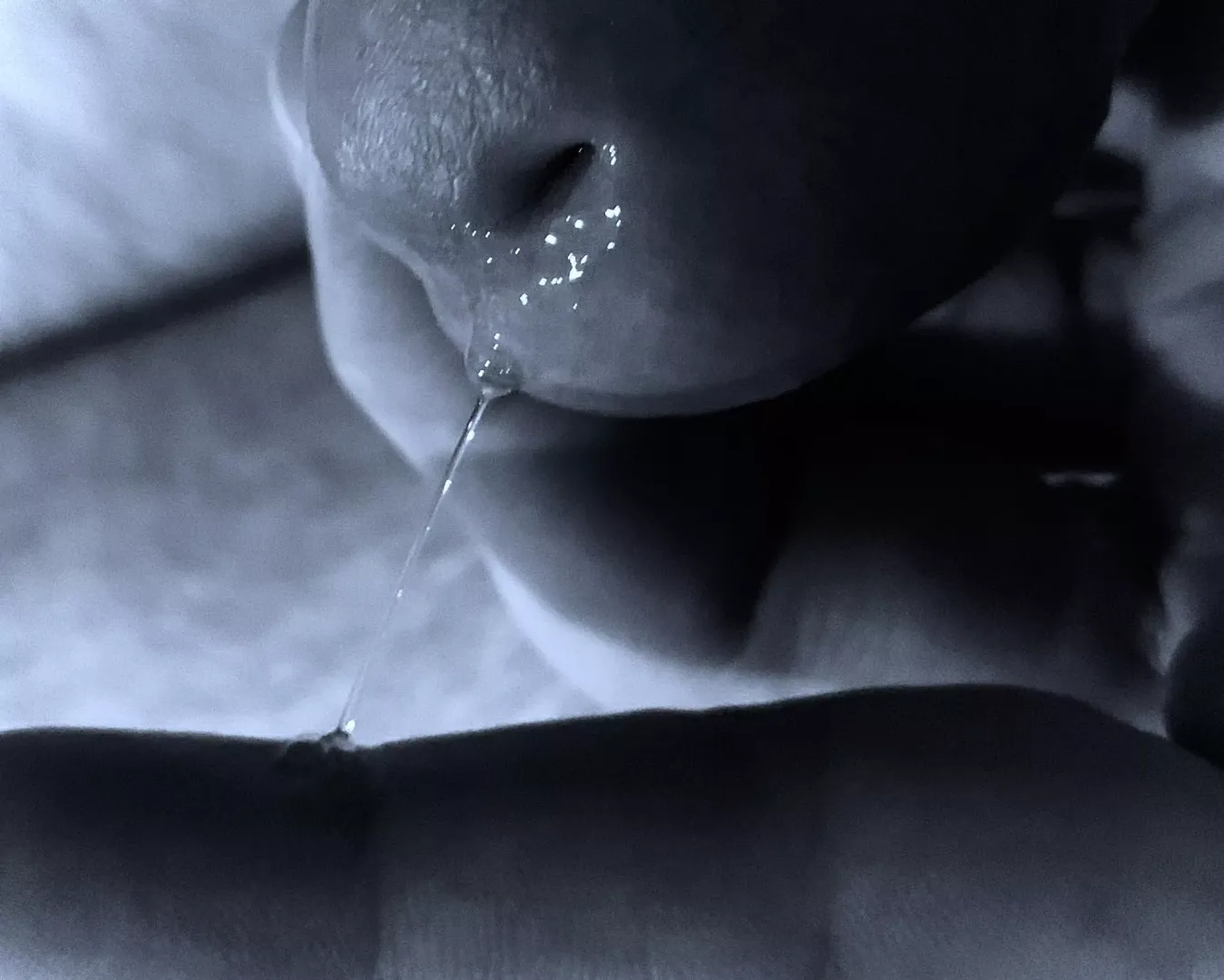 sweet anticipation
